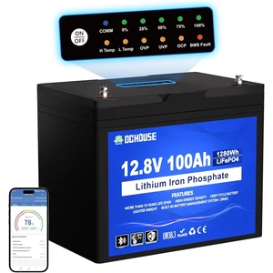 DCHOUSE 12V 100Ah LiFePO4 Akkumulátor Bluetooth és Kijelzővel