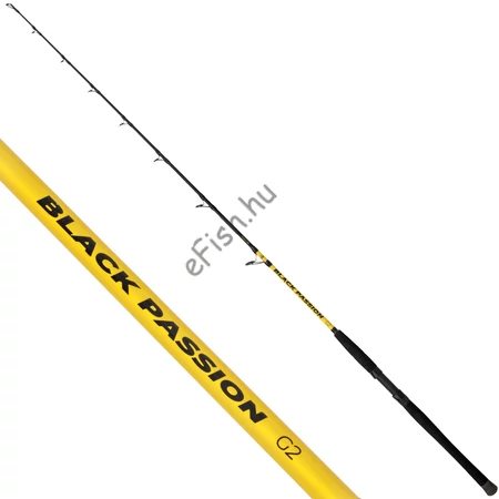 Black Cat 1,80m Black Passion G2 Vertical 240g harcsázó bot