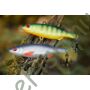 Kép 3/7 - Black Cat 60g 100mm BC Vibe baitfish vertikális fém műcsali