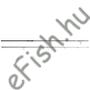 Kép 1/5 - Prologic C2 ELEMENT XD (Full Shrink) 13ft 390cm 3.5lbs - 2 részes távdobó bojlis bot