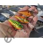 Kép 4/8 - RAPALA SHAD RAP ELITE SRE55 GDNIA 5,5cm/7g wobbler