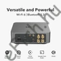 Kép 2/6 - WiiM AMP PRO streaming erősítő hátlap